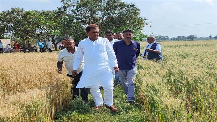 राज्य मंत्री श्री पटेल ने किया ओलावृष्टि प्रभावित फसलों का निरीक्षण